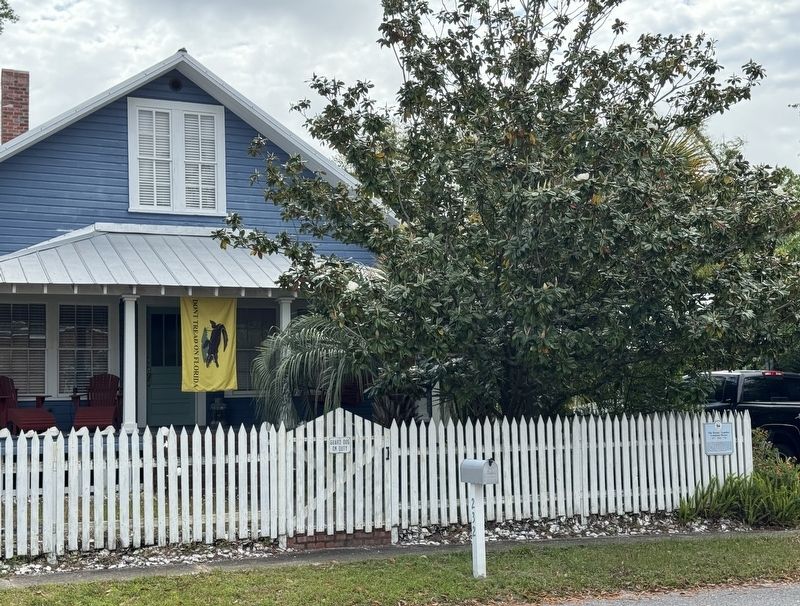The Buran/Lumber Company House image. Click for full size.