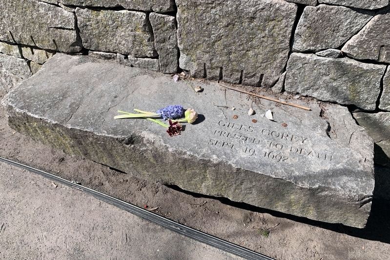 Giles Corey Pressed To Death Sept 19, 1692 image. Click for full size.