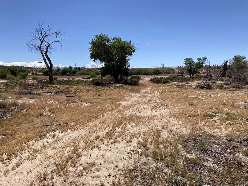 Wagon Road. Click for full size. Wagon Road image. Click for full size.