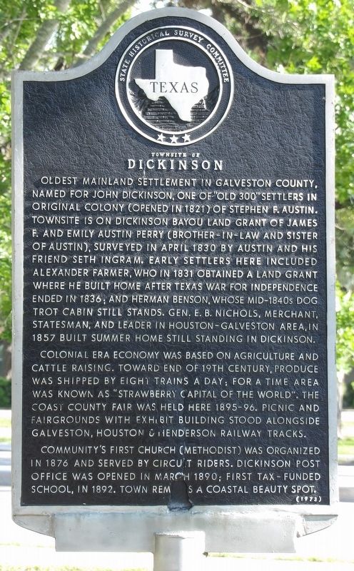 Townsite of Dickinson Marker image. Click for full size.