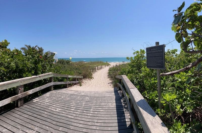 Marker is on footbridge to the beach.. Click for full size. Marker is on footbridge to the beach. image. Click for full size.