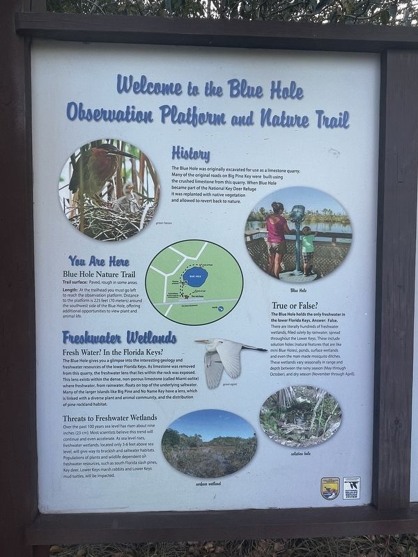 Blue Hole Marker image. Click for full size.