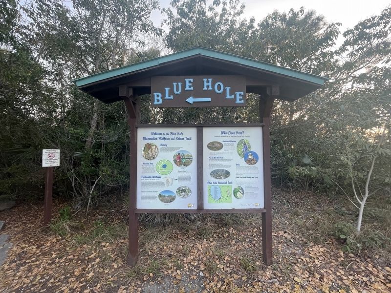 Blue Hole Marker. Click for full size. Blue Hole Marker image. Click for full size.