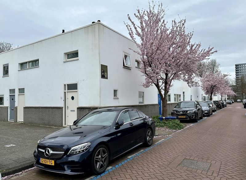 Nienke van Hichtum Marker - wide view image. Click for full size.