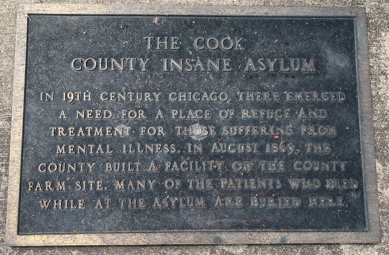 The Cook County Insane Asylum Marker image. Click for full size.