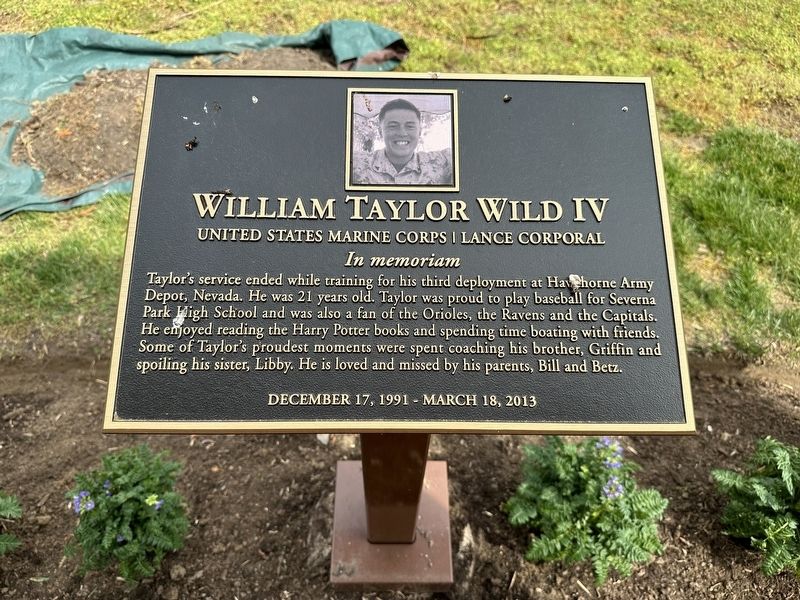 Gold Star Family Memorial - William Taylor Wild IV. Click for full size. Gold Star Family Memorial - William Taylor Wild IV image. Click for full size.