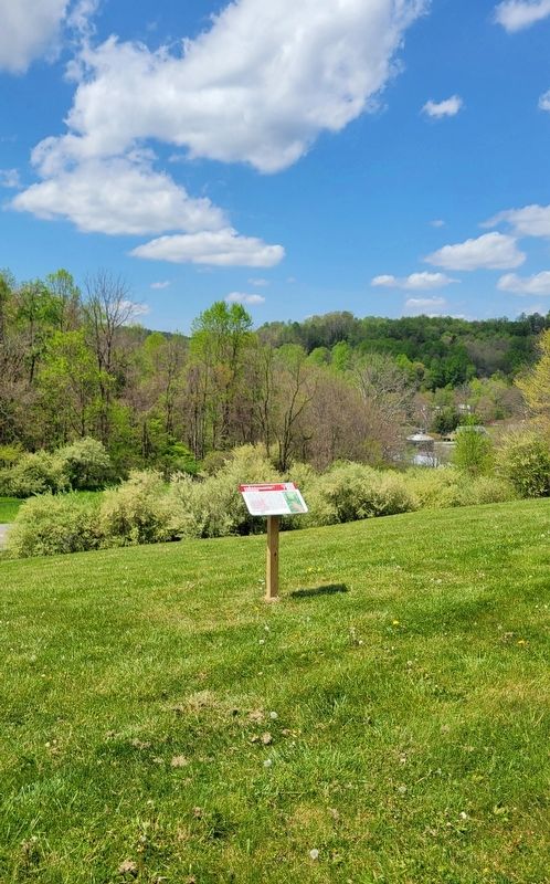 Cross Country Course Marker image. Click for full size.