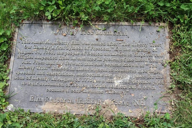 Liberty Tree Memorial Marker image. Click for full size.