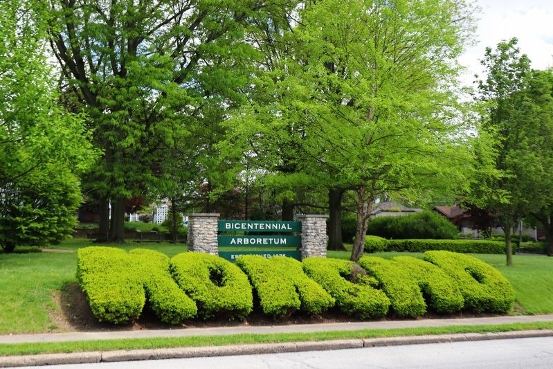 Bicentennial Park image. Click for full size.