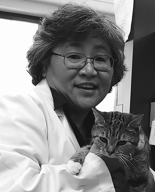 Janet K. Yamamoto, Ph.D. image. Click for full size.