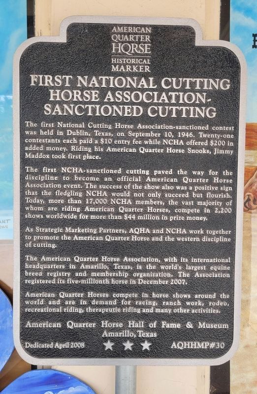 First National Cutting Horse Association-Sanctioned Cutting Marker image. Click for full size.