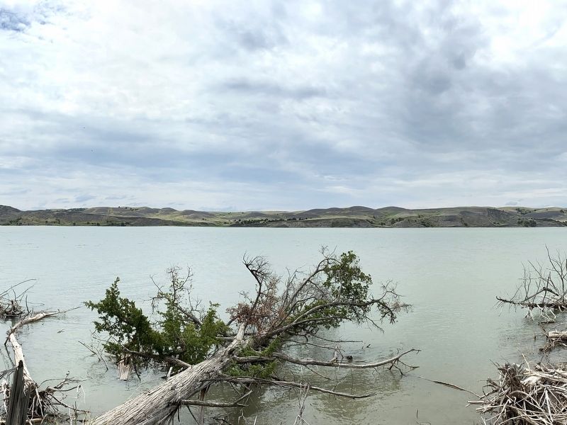 A section of Steamboat Reach, south of Farm Island. Click for full size. A section of Steamboat Reach, south of Farm Island image. Click for full size.