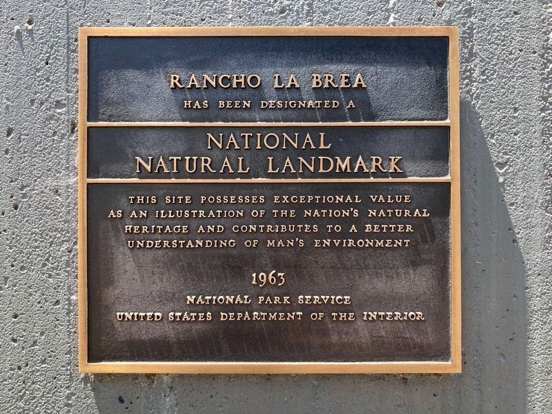 National Natural Landmark image. Click for full size.