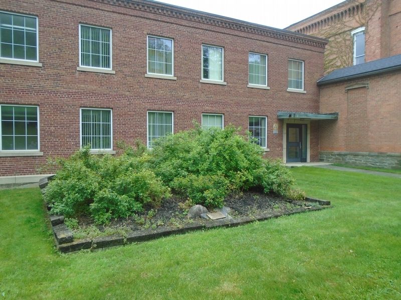 Schuyler County Courthouse Memorial Rose Garden and Marker image. Click for full size.