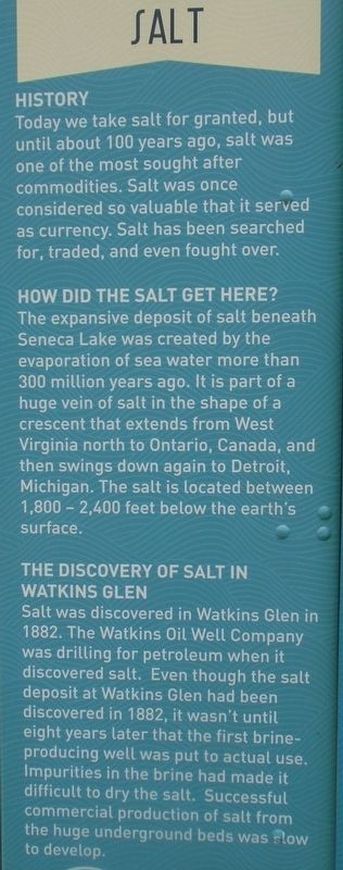 Salt Marker image. Click for full size.