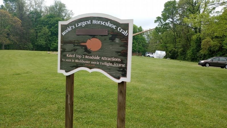 World's Largest Horseshoe Crab Marker image. Click for full size.