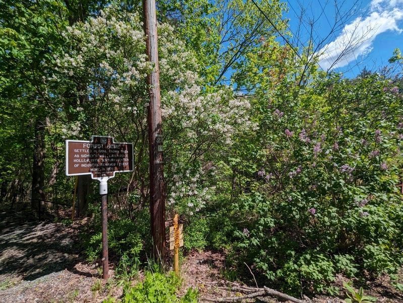 Forest Home Marker. Click for full size. Forest Home Marker image. Click for full size.
