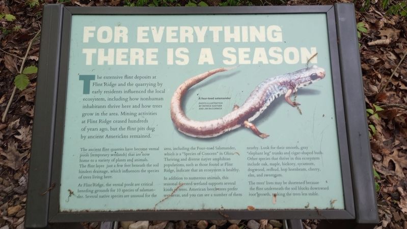 For Everything There Is A Season Marker image. Click for full size.