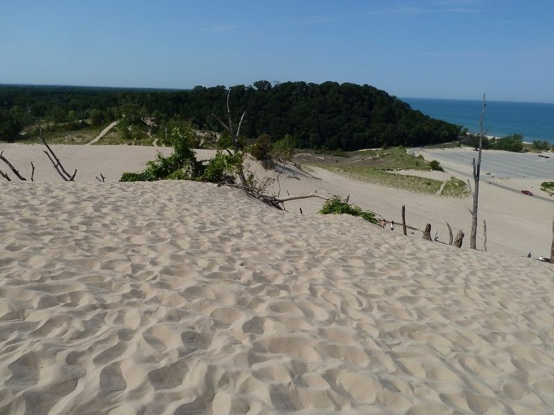 View from a dune in the Warren Dunes State Park on Lake Michigan image. Click for full size.