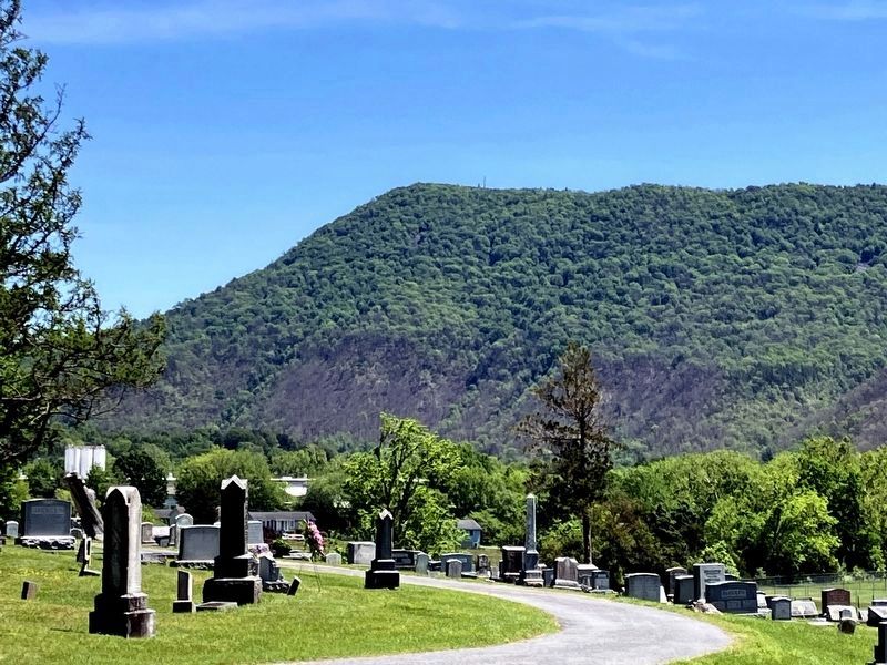 Signal Knob image. Click for full size.