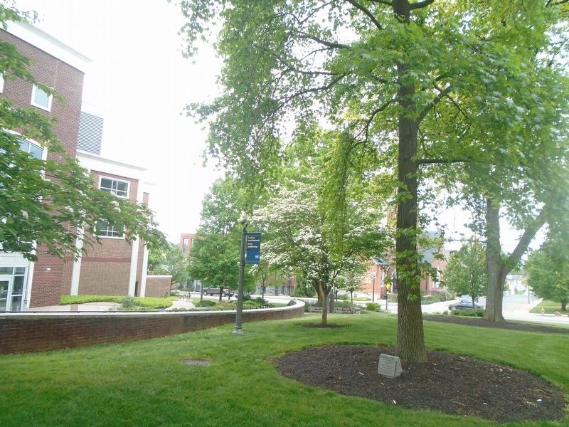 Max F. Lehman Marker and Memorial Tree image. Click for full size.