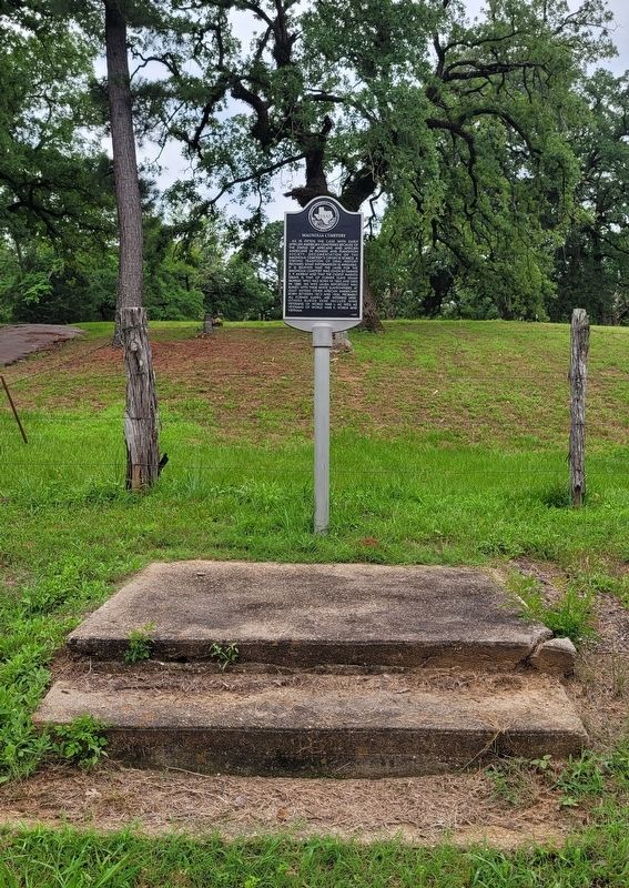 The Magnolia Cemetery and Marker image. Click for full size.