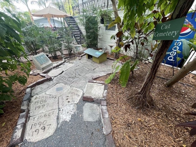 The cat cemetery. Click for full size. The cat cemetery image. Click for full size.