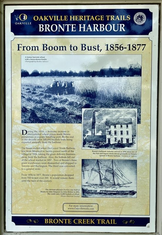 From Boom to Bust, 1856-1877 Marker. Click for full size. From Boom to Bust, 1856-1877 Marker image. Click for full size.