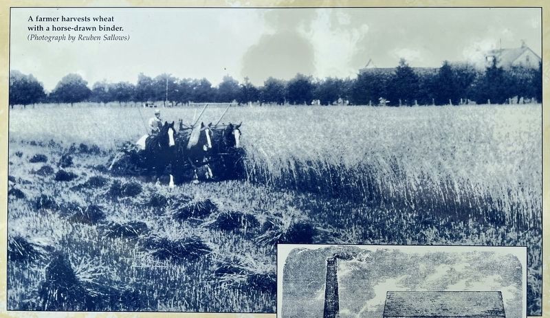 From Boom to Bust, 1856-1877 marker photo detail. Click for full size. From Boom to Bust, 1856-1877 marker photo detail image. Click for full size.