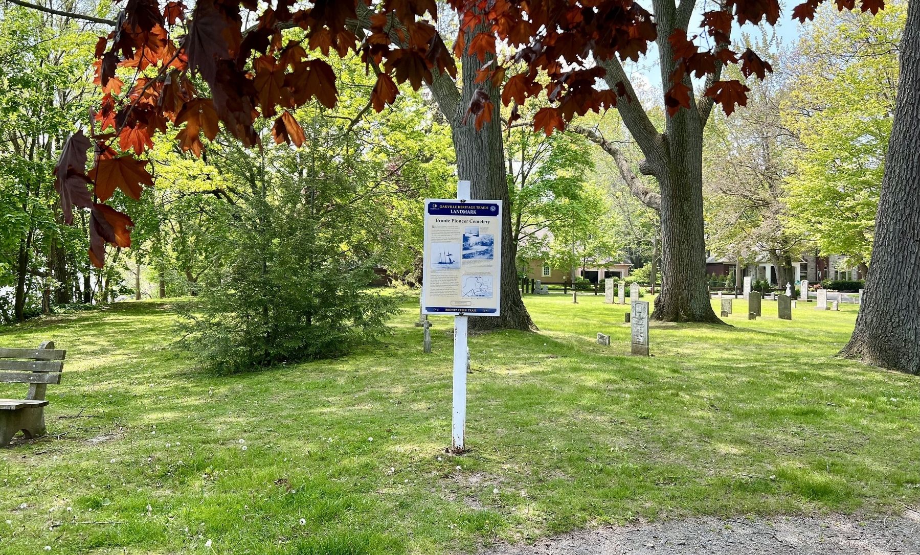 Bronte Pioneer Cemetery Marker. Click for full size. Bronte Pioneer Cemetery Marker image. Click for full size.