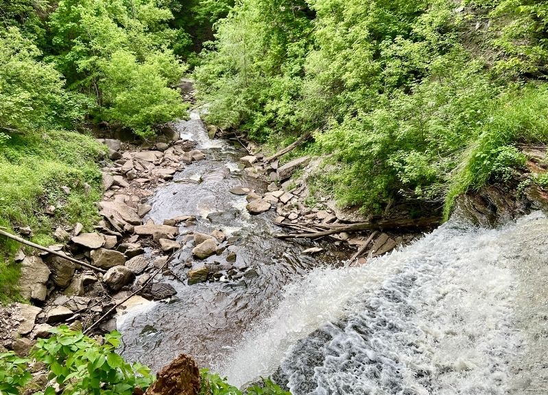 Smokey Hollow Falls, 2024 image. Click for full size.