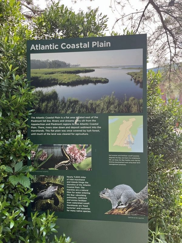 Atlantic Coastal Plain Marker image. Click for full size.
