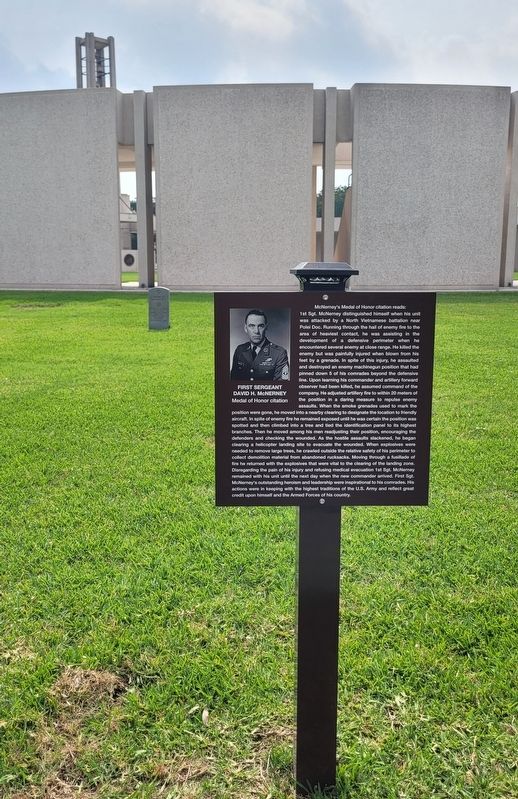 First Sergeant David H. McNerney Gravestone and Marker image. Click for full size.