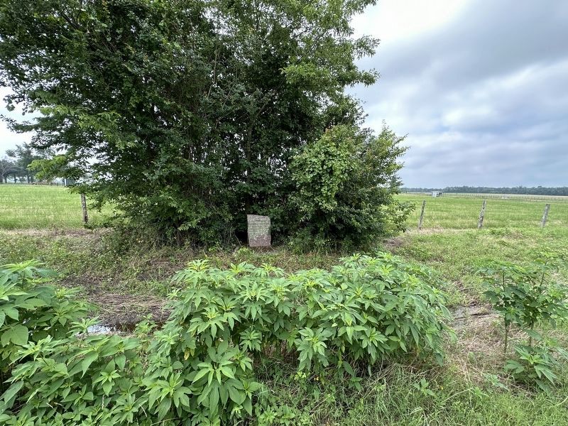 Kings Highway Camino Real Old San Antonio Road Marker. Click for full size. Kings Highway Camino Real Old San Antonio Road Marker image. Click for full size.