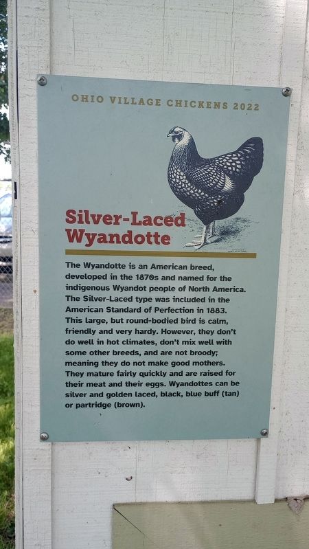 Silver-Laced Wyandotte Marker. Click for full size. Silver-Laced Wyandotte Marker image. Click for full size.