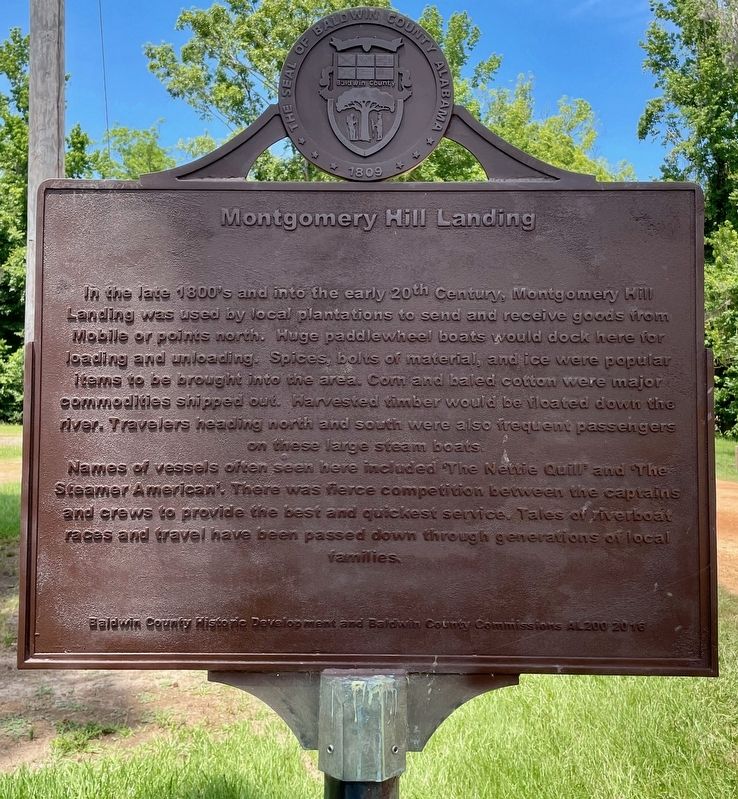 Montgomery Hill Landing Marker image. Click for full size.