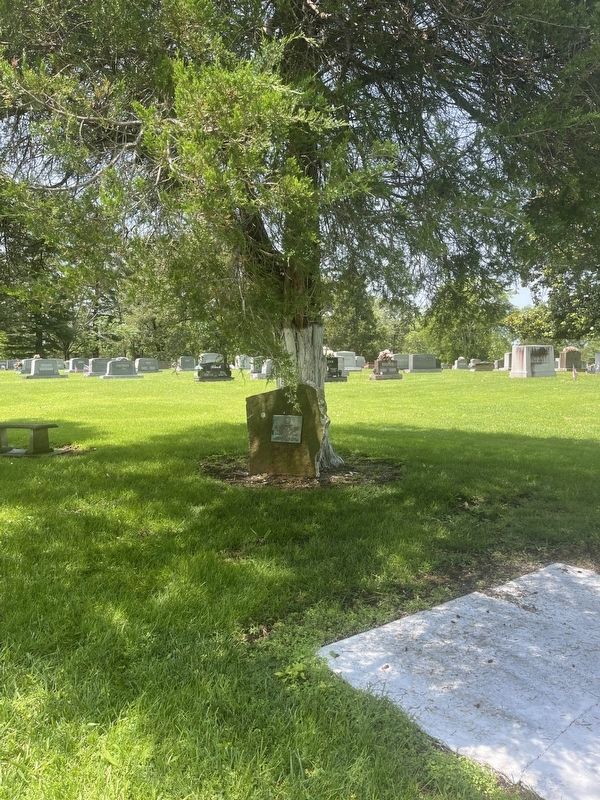 War Memorial image. Click for full size.