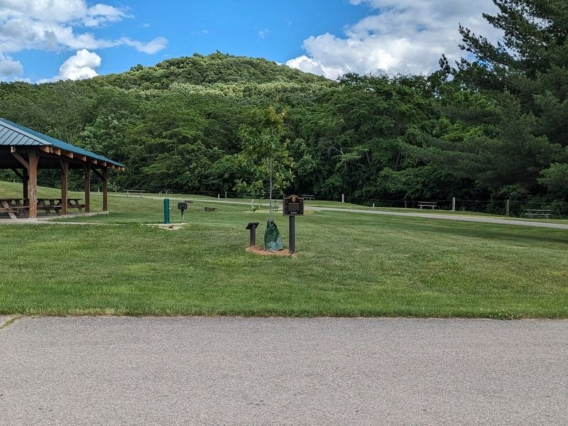 Trees Shaped Ohio's History Marker. Click for full size. Trees Shaped Ohio's History Marker image. Click for full size.