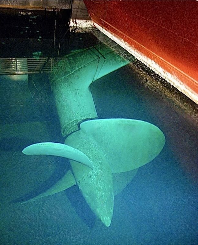 Queen Mary Propeller image. Click for full size.