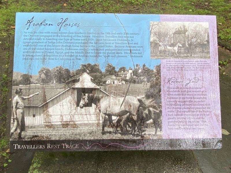 Arabian Horses Marker image. Click for full size.