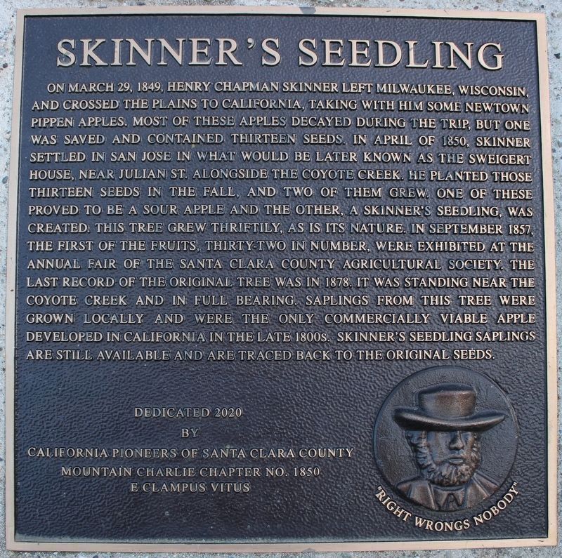 Skinner's Seedling Marker image. Click for full size.
