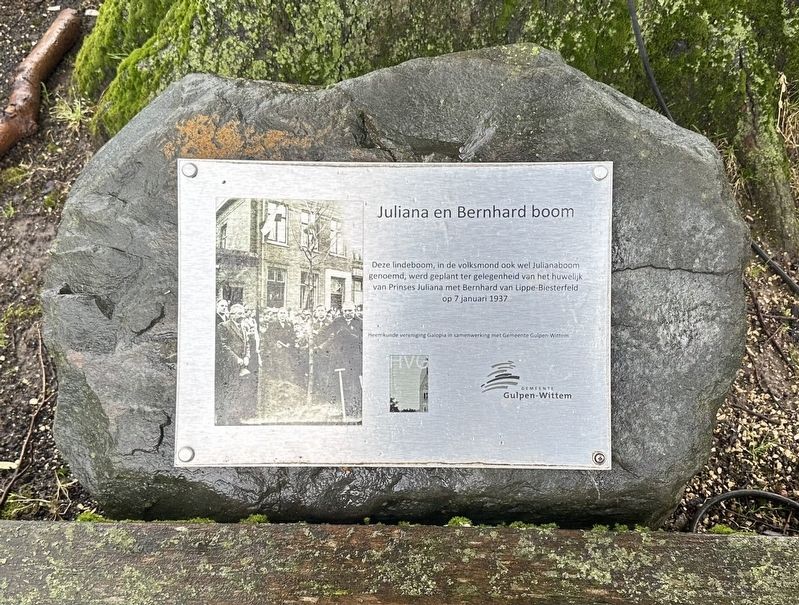 Juliana en Bernhard boom / Juliana and Bernhard Tree Marker. Click for full size. Juliana en Bernhard boom / Juliana and Bernhard Tree Marker image. Click for full size.
