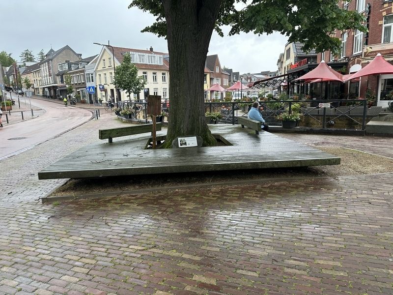 Juliana en Bernhard boom / Juliana and Bernhard Tree Marker - wide view. Click for full size. Juliana en Bernhard boom / Juliana and Bernhard Tree Marker - wide view image. Click for full size.