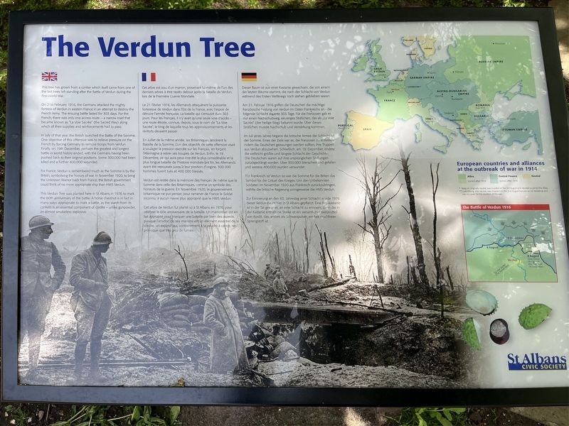 The Verdun Tree Marker image. Click for full size.