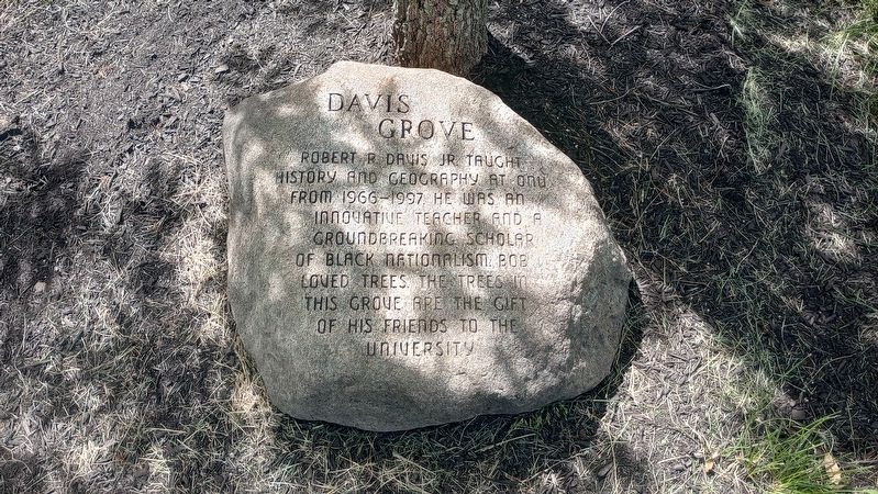 Davis Grove Marker image. Click for full size.