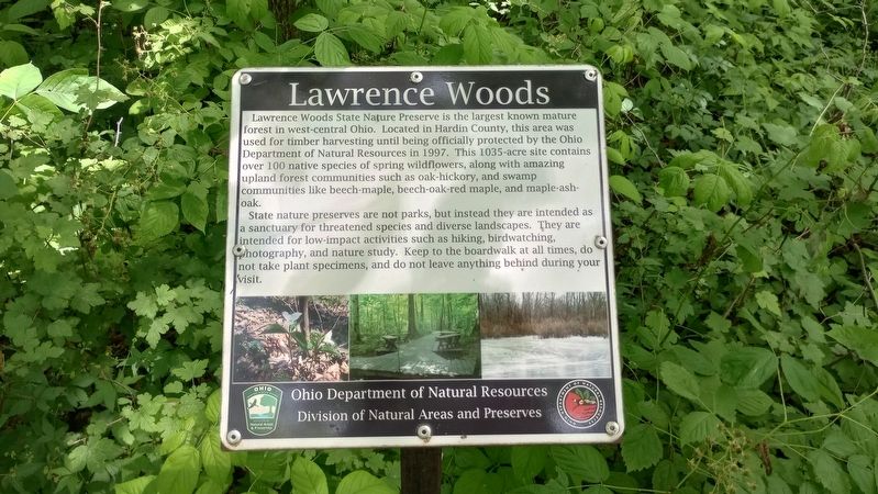 Lawrence Woods Marker image. Click for full size.