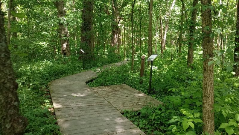 Lawrence Woods Marker image. Click for full size.