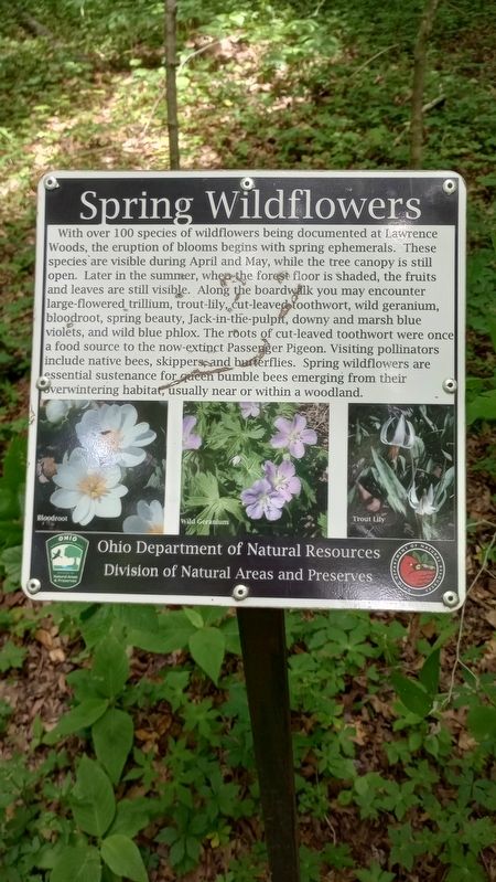 Lawrence Woods Marker image. Click for full size.