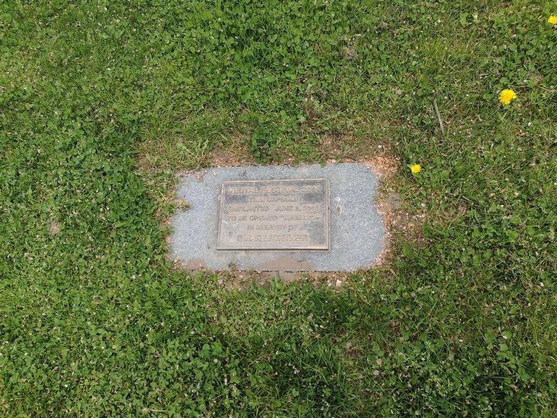 Vestal Festival 2000 Time Capsule Marker. Click for full size. Vestal Festival 2000 Time Capsule Marker image. Click for full size.