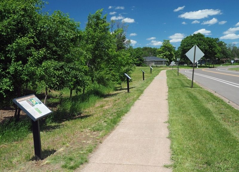 Planting for Clean Water Marker (left) along W. Moore Lake Drive. Click for full size. Planting for Clean Water Marker (left) along W. Moore Lake Drive image. Click for full size.